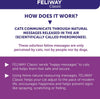 Feliway Classic Calming Spray for Cats