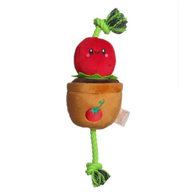 Territory Treat-and-Tug Tomato Dog Toy