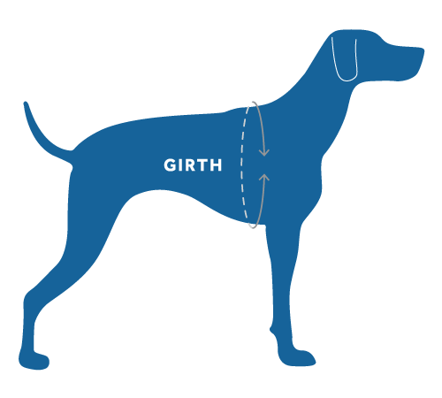 リリパットレーン　pet's practice RC Pets Step In Harness in Sapphire