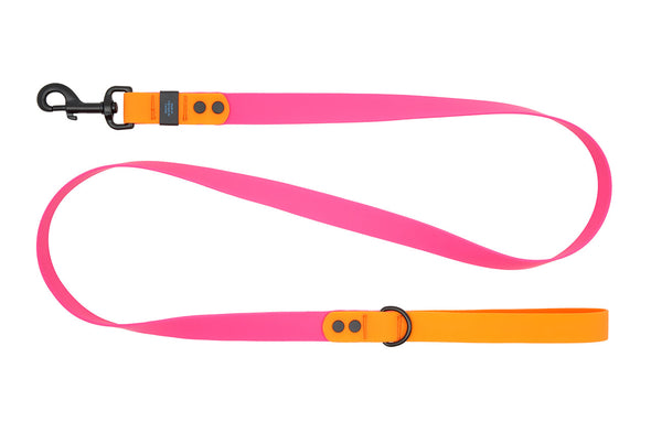 RC Pets Waterproof Leash for Dogs in Azalea & Orange