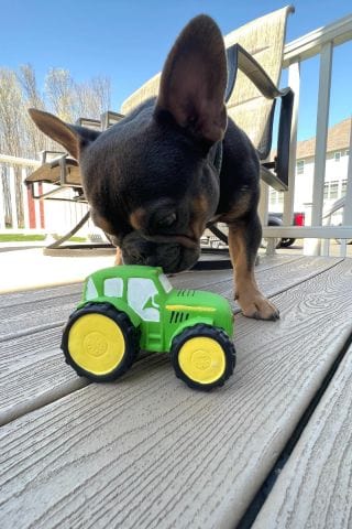 Territory Green Tractor Latex Squeaker Dog Toy