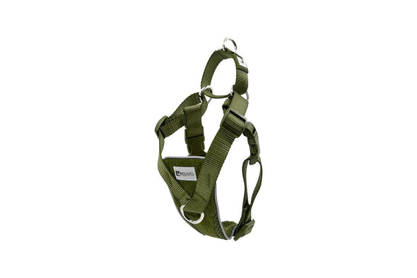 RC Pets Tempo No Pull Harness for Dogs in Olive