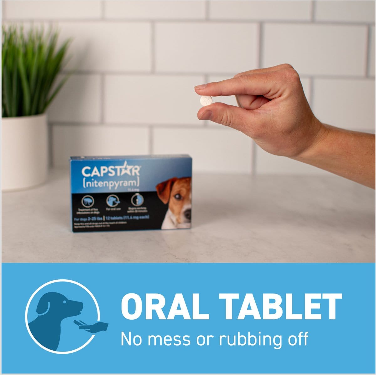 Capstar Flea Oral Treatment for Dogs - Main Image