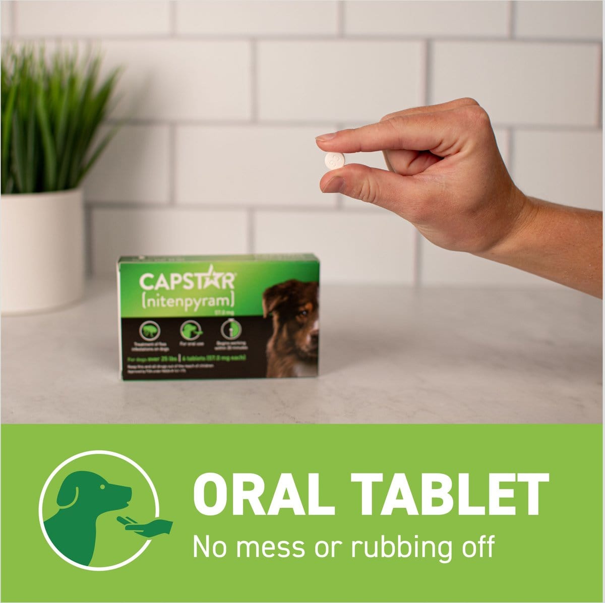 Capstar Flea Oral Treatment for Dogs - Main Image