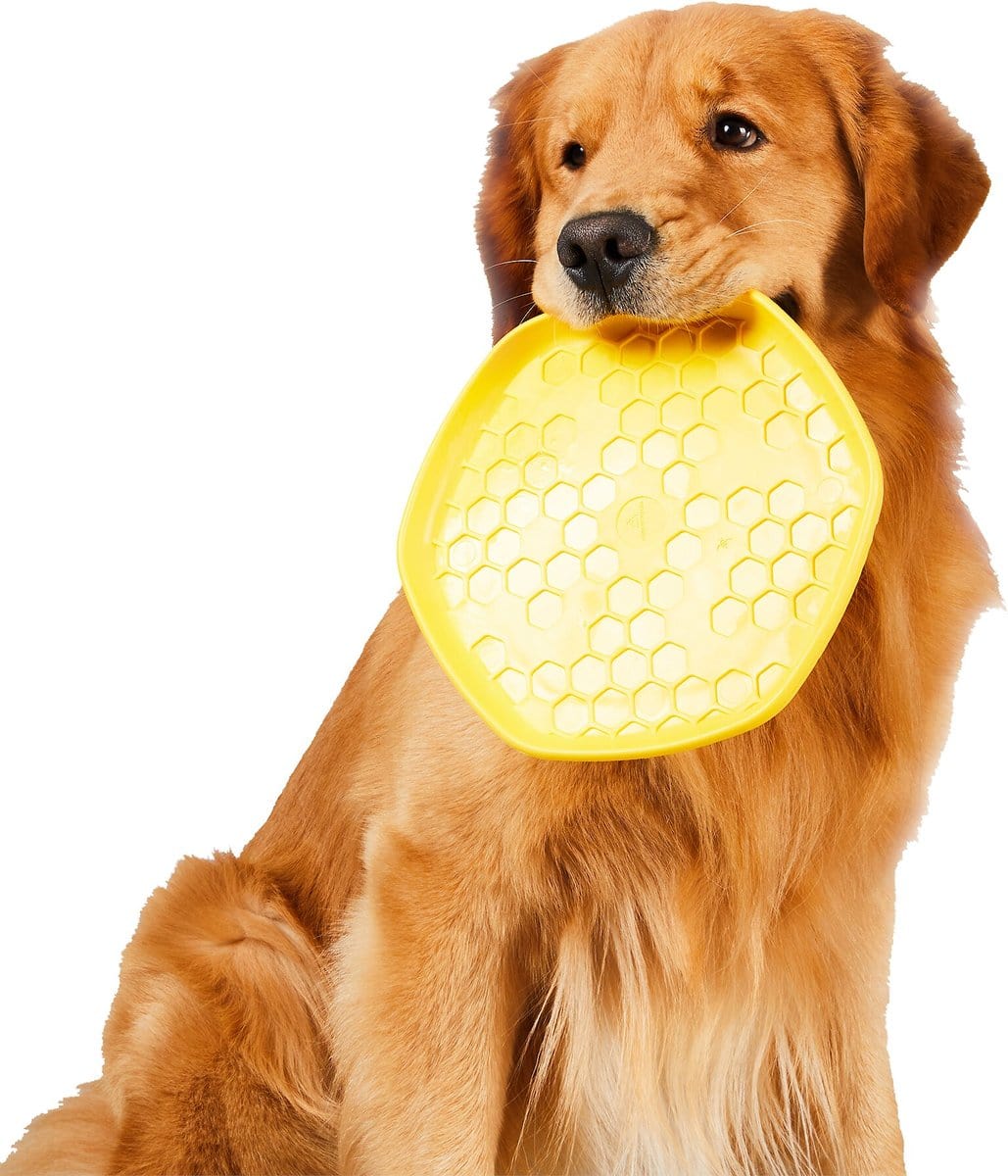 Project Hive Pet Company Disc Dog Toy