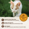 Wellness CORE Grain Free Natural Indoor Health Chicken and Turkey Recipe Dry Cat Food