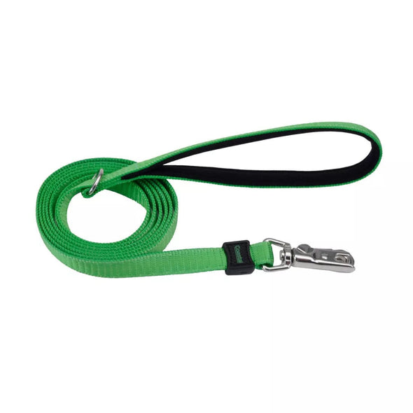 Coastal Pet Products Inspire Dog Leash in Green