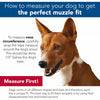 Coastal Pet Products Best Fit Adjustable Mesh Dog Muzzle