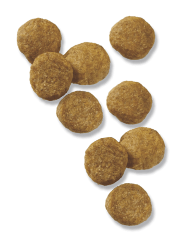 Purina Pro Plan Lamb Rice Formula Puppy Dry Dog Food