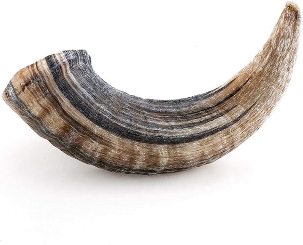 Icelandic+ Large Lamb Horn Dog Treat - Main Image