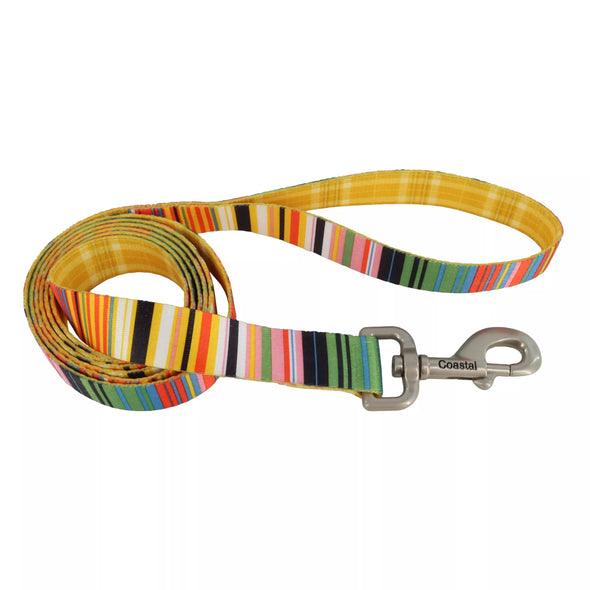 Coastal Pet Products Sublime Dog Leash in Sublime Stripe with Gold Plaid