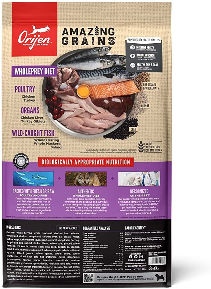 Orijen Amazing Grains Large Breed Puppy Dry Dog Food
