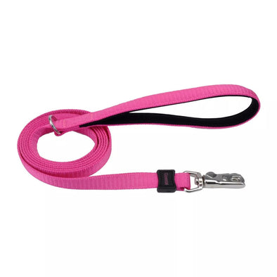 Coastal dog leash 2025