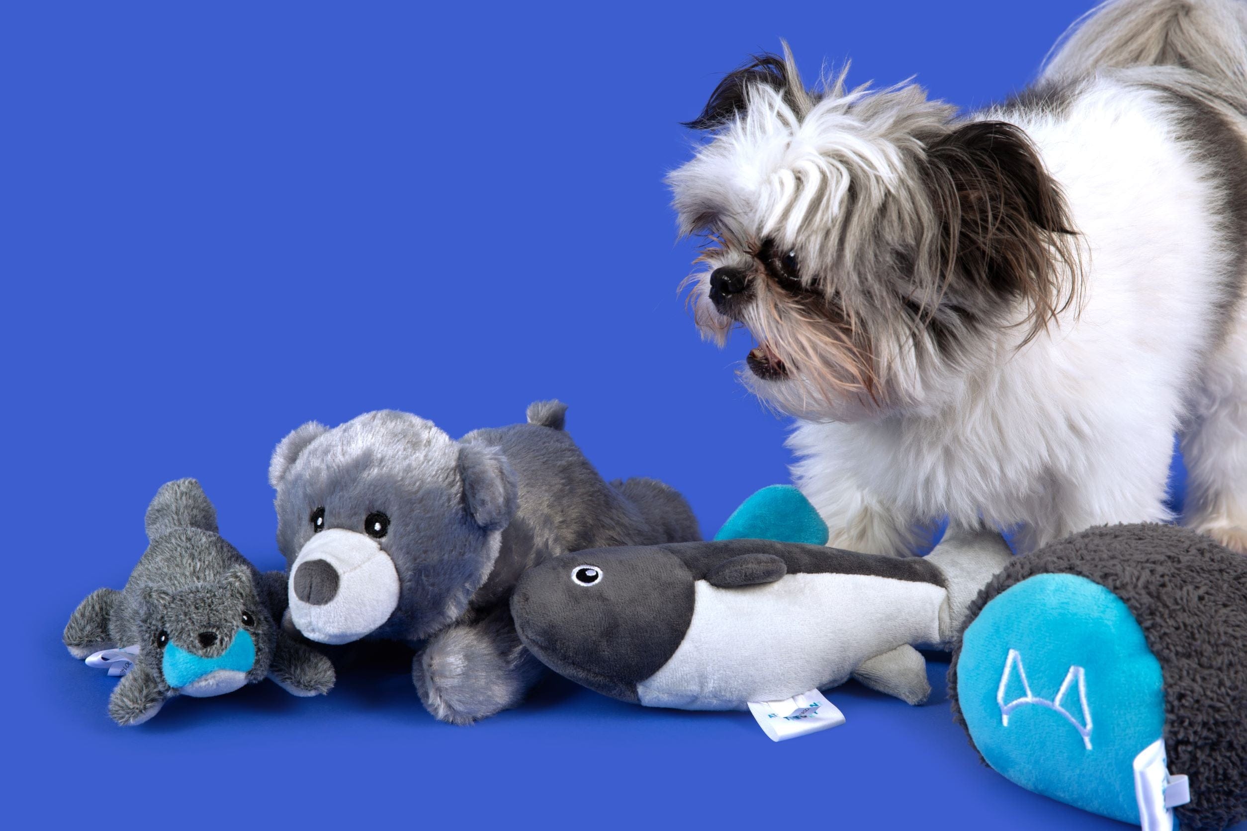 Dog Separation Anxiety Toys
