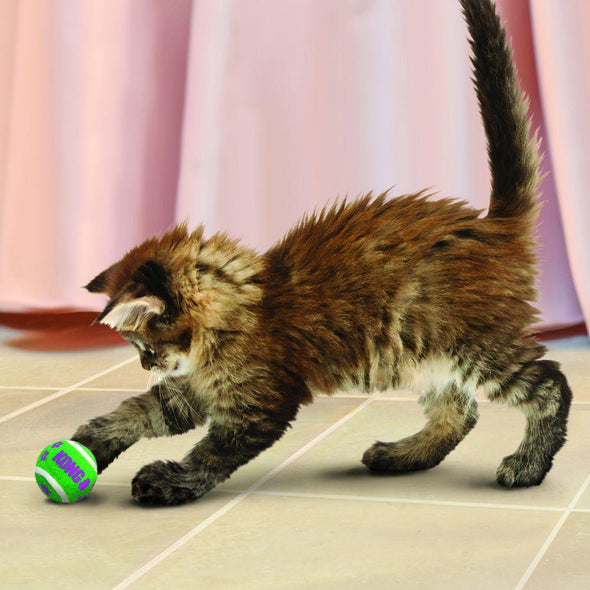 Kong Cat Active Tennis Balls w/Bells Cat Toy