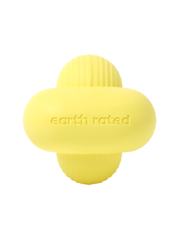 Earth Rated Fetch Dog Toy