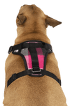 Canada Pooch Everything Harness Water-Resistant Series Pink Plaid Harness for Dogs
