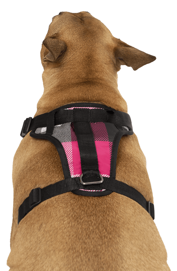 Canada Pooch Everything Harness Water-Resistant Series Pink Plaid Harness for Dogs