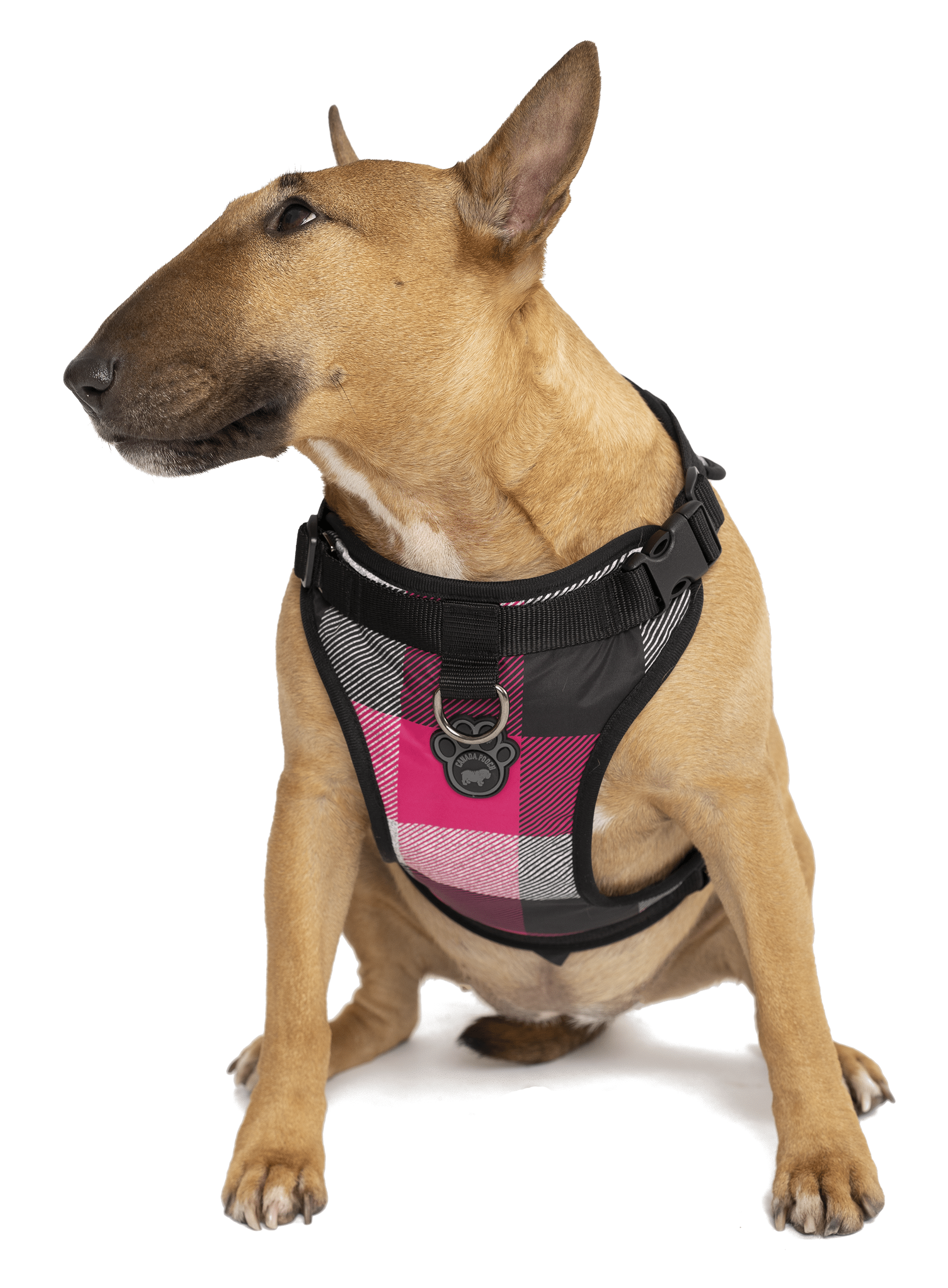 Canada pooch harness shop medium