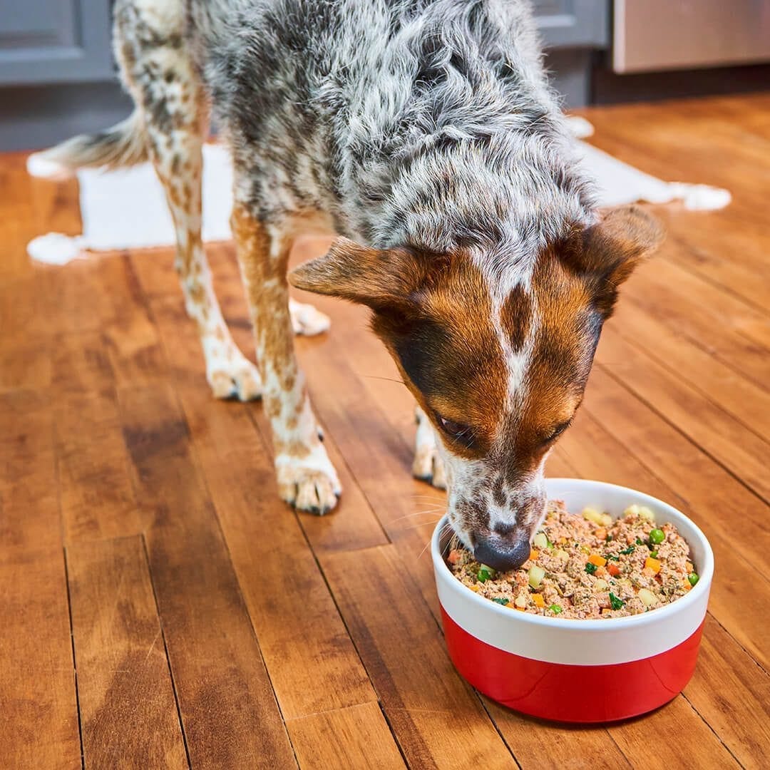 FreshMade Gobblin' Good Gently Cooked Dog Food