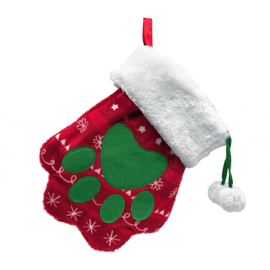 Kong Holiday Stocking Paw for Dogs and Cats