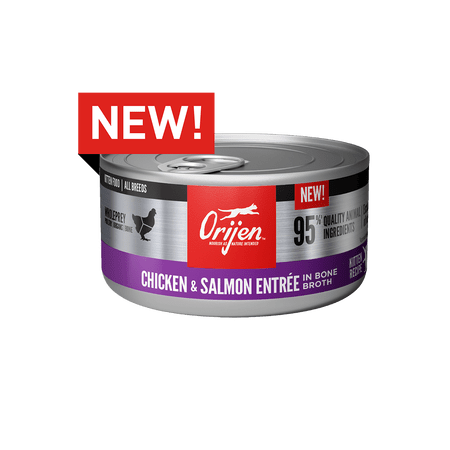 ORIJEN Chicken & Salmon Recipe Canned Kitten Food