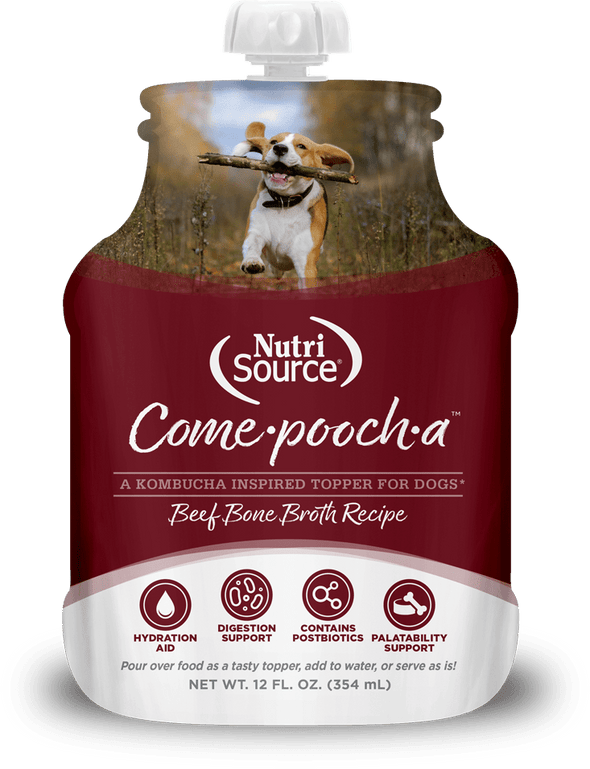 NutriSource Come-Pooch-a Beef Bone Broth for Dogs