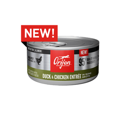 ORIJEN Duck & Chicken Recipe Canned Cat Food