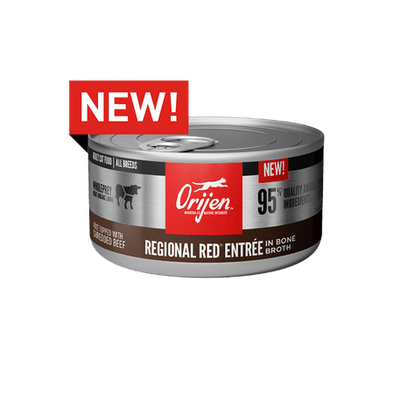 ORIJEN Regional Red Recipe Canned Cat Food