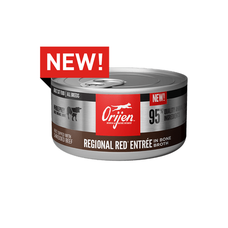 Orijen Regional Red Recipe Canned Cat Food