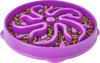 Outward Hound Fun Feeder Slo-Bowl Feeder for Dogs in Purple