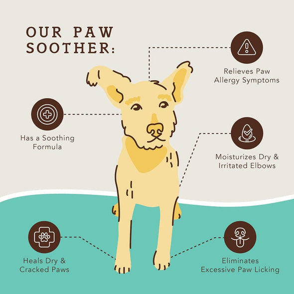 Natural Dog Company Paw Soother for Dogs