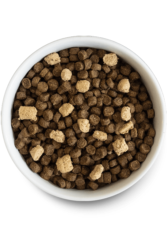 Open Farm Grain-Free RawMix Wild Ocean Recipe Dog Food