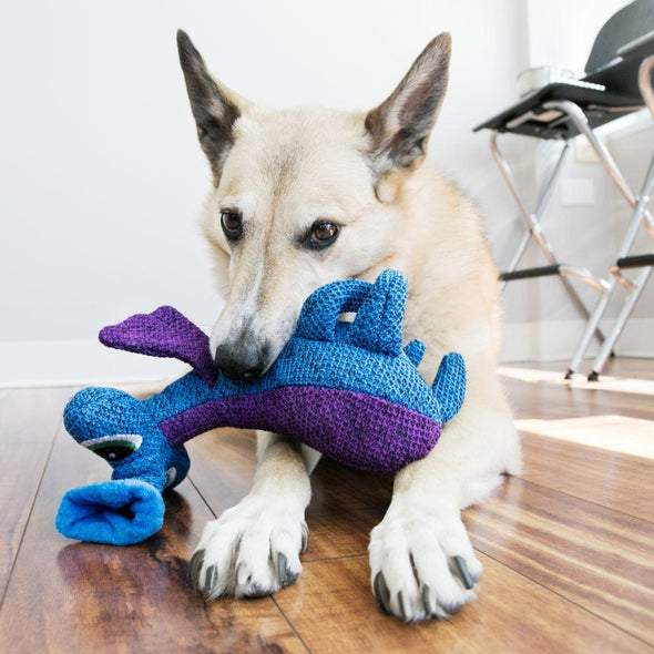 Kong Blue Woozles Dog Toy
