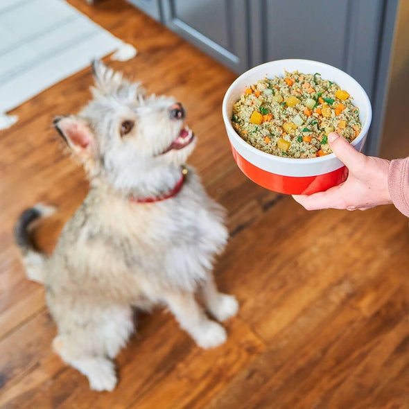 Stella & Chewy's FreshMade Chick-A-Lick'n Gently Cooked Dog Food