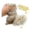 Tall Tails Animated Squirrel Toy for Dogs