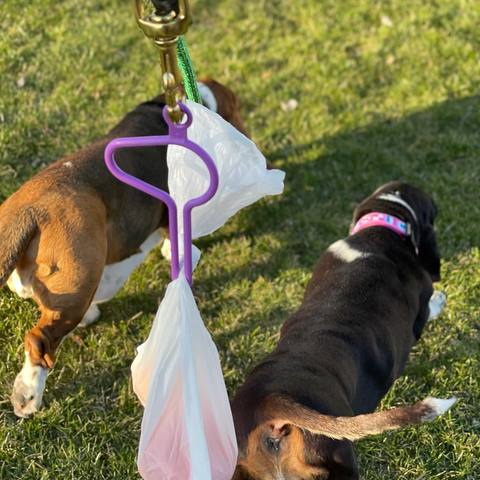 Dooloop Walk in The Park Dog Waste Bag Holder, 2 Count
