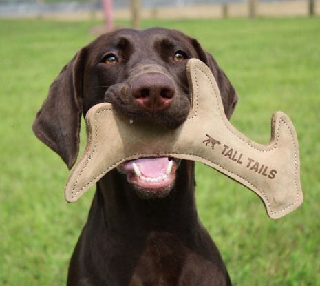 Tall Tails Natural Leather Antler Toy for Dogs - Main Image