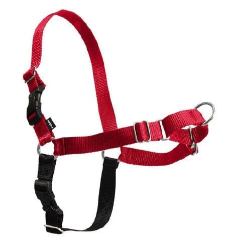 Petsafe Easy Walk Harness-Red for Dogs