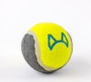 Attachment Theory Tennis Ball Toy for Dogs