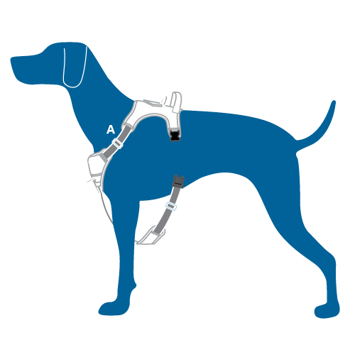 RC Pets Momentum Control Harness for Dogs in Sapphire